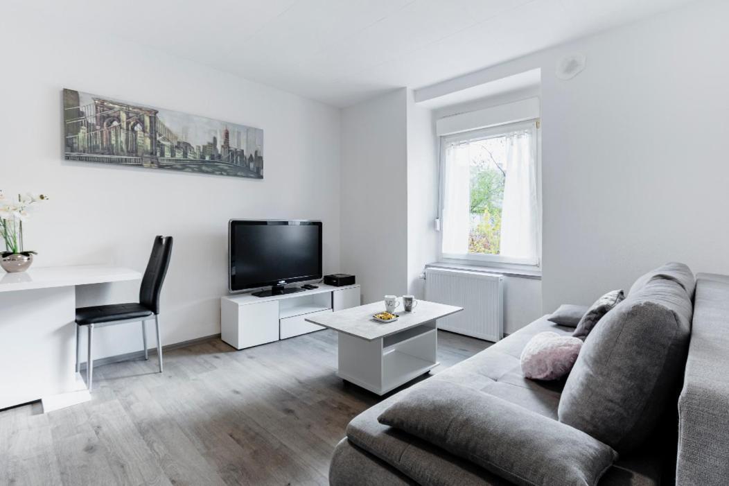 Apartment Comfort Basel Airport 2a46